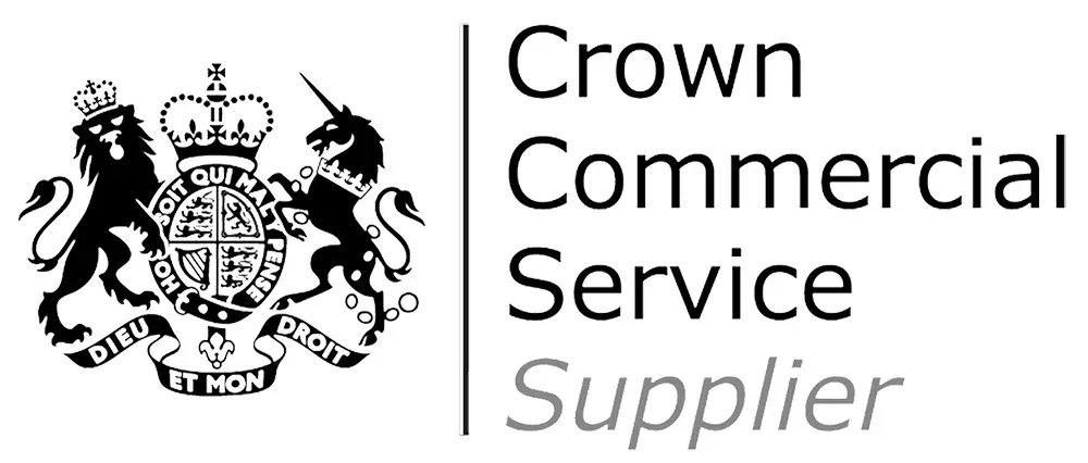 Crown Commercial Service Supplier - DPS Cyber Services 3 RM3764